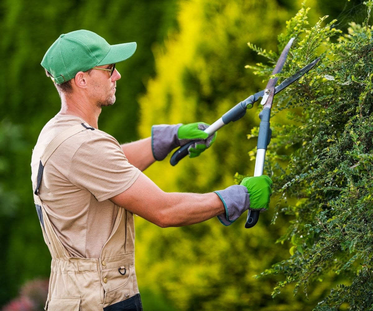 servicio de jardineria en cali